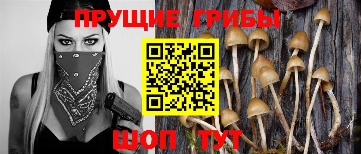 Галлюциногенные грибы ЛСД Полысаево